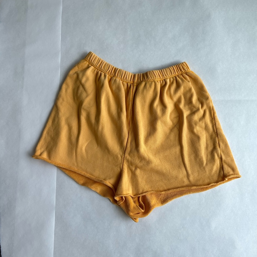 Urban Outfitter Short